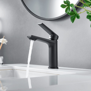 Meissen Vita Double Black Basin Mixer Pillar Type Lifestyle