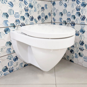 TOTO Voxser II White Round Wall Hung Pan Side View