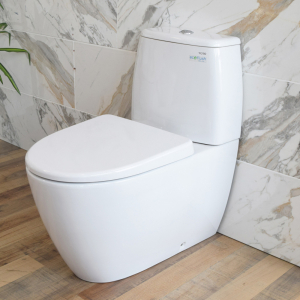 TOTO White Round Close Couple Toilet Set