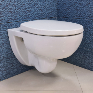 TOTO White Roundy Wall Hung Toilet Pan