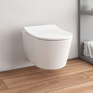 TOTO White D-Shaped Wall Hung Toilet Pan